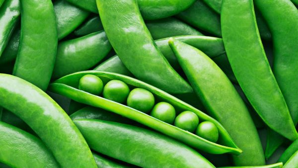 Green Peas